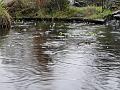 2011-0106-1315_Winter_Rain_3,6C